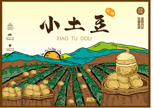 土豆包裝