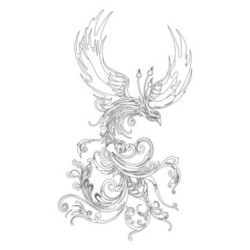 鳳凰朱雀矢量線稿