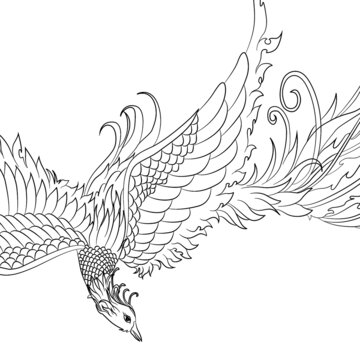 國(guó)潮手繪朱雀鳳凰線稿
