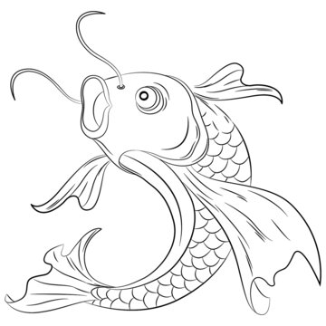 錦鯉線描