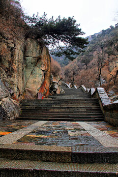 泰山登山石阶