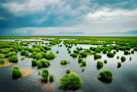 阿坝州花湖湿地公园