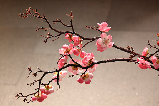 室内装饰樱花