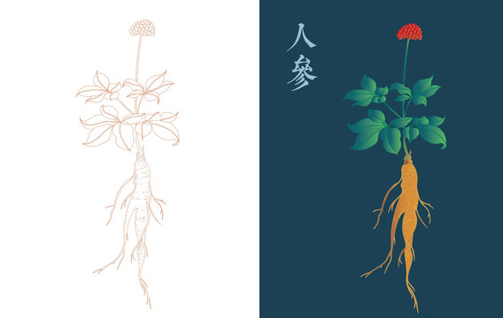 人參