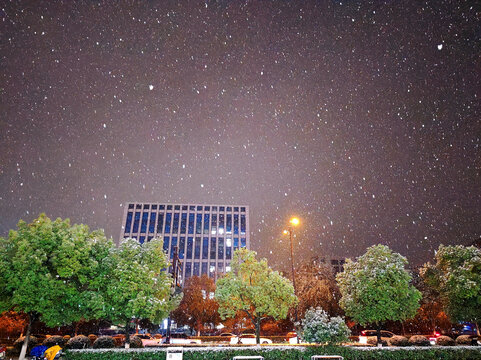 城市雪景