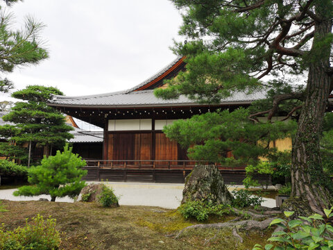 日本京都金阁寺风景