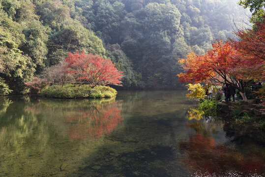 九溪烟树公园秋景