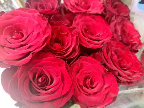 鮮花