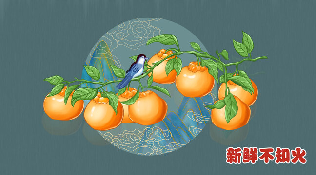 粑粑柑插畫