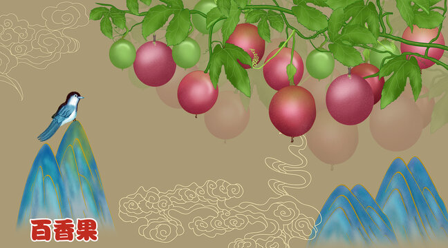百香果插畫包裝
