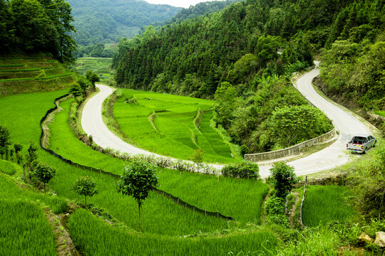 元阳梯田