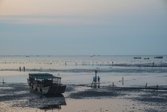 海边滩涂