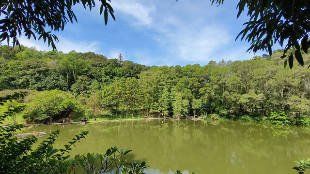 深圳仙湖植物园