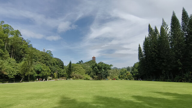 深圳仙湖植物园