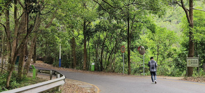 马峦山郊野公园盘山路