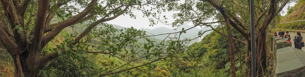 深圳塘朗山盘山道沿途景观