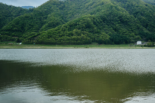 神农架大九湖湿地