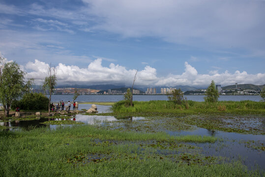 云南大理洱海湿地公园风景