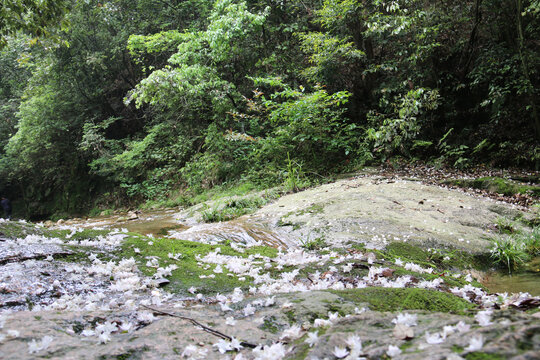 中国池州百丈崖风景区