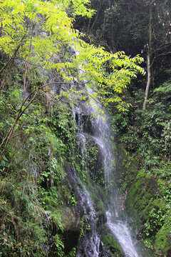 中国池州百丈崖风景区