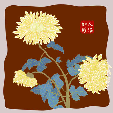 菊花禮盒包裝