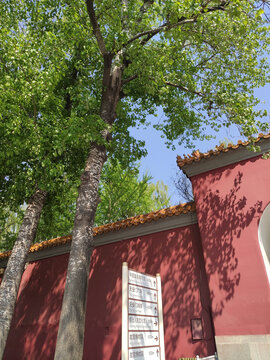 故宫的红墙绿树