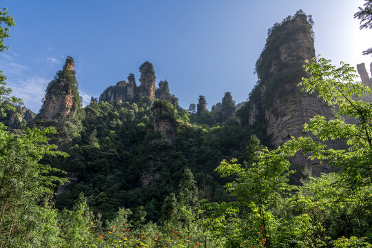 山林和山峰