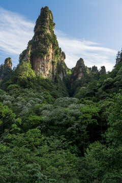 郁郁葱葱树林耸立的山峰