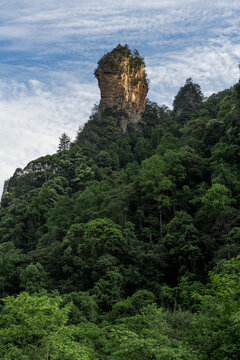 山峰耸立于浓密山林