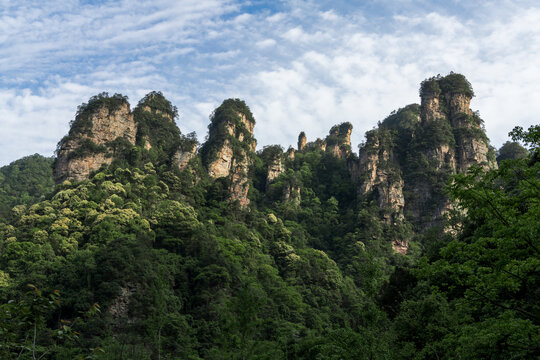 一排山峰耸立于浓密山林