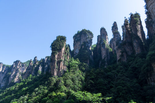 一排山峰耸立于浓密山林