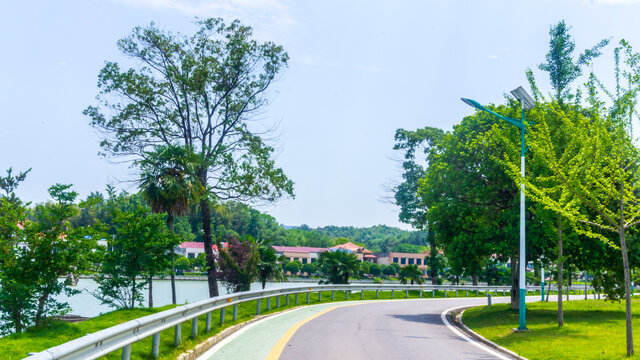 印山湖风景