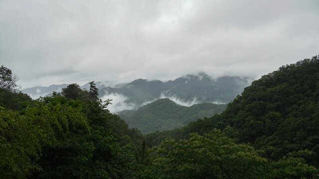 山景