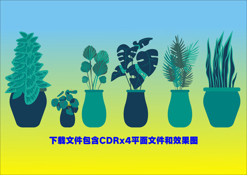 盆栽植物花瓶绿植