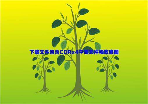 秋葵蔬菜植物葉子