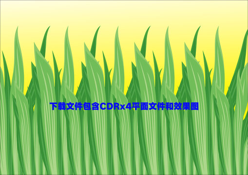 植物盆栽綠植