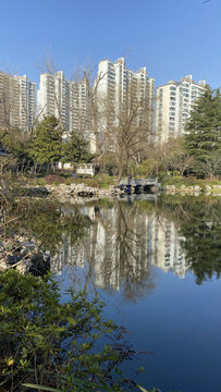 湖景都市建筑