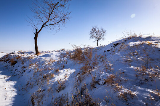 农村雪景