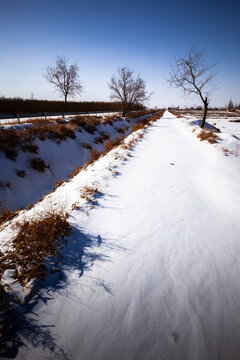 农村雪景