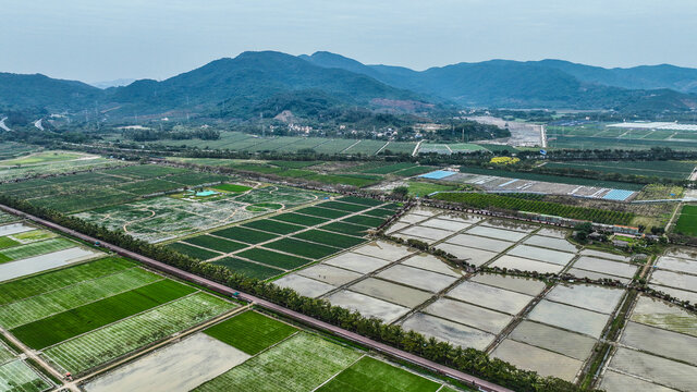 鸟瞰三亚国家水稻公园