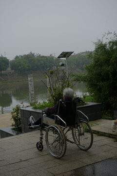坐在轮椅上的老人欣赏风景
