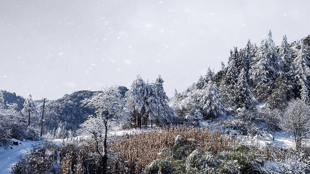 冰天雪地