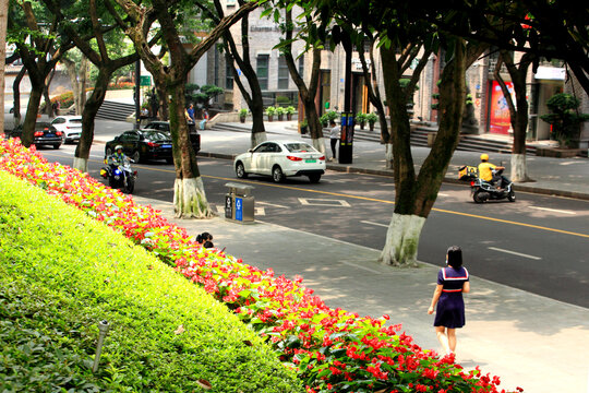 重庆中山四路街道绿化