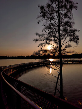 企石东青湖湿地公园夕阳风光