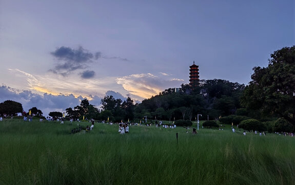 公明红花山傍晚风光