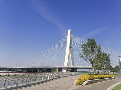 石家庄太平河大桥