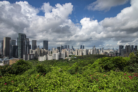 深圳莲花山公园