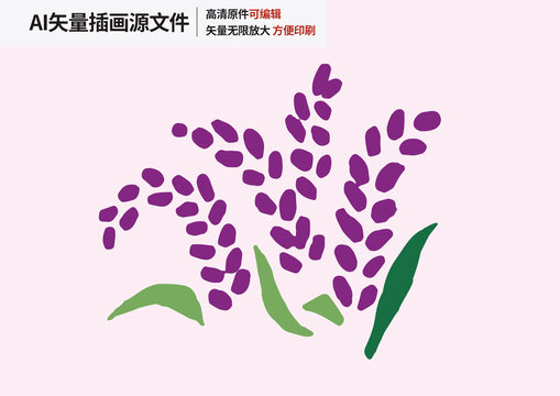云南墨江紫米扁平矢量插畫手繪