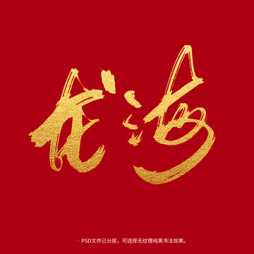龍海書法毛筆字設(shè)計(jì)