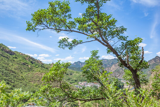 北京密云风景